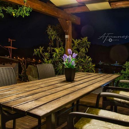 메르톨라 Casa Da Oliveirinha 빌라 외부 사진
