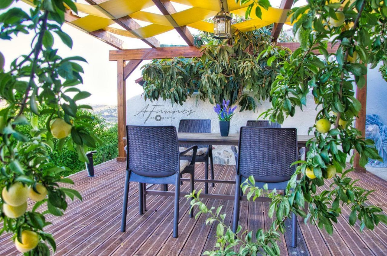 메르톨라 Casa Da Oliveirinha 빌라 외부 사진